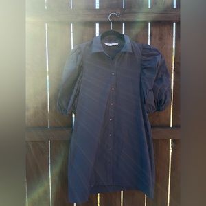 ZARA Puff Sleeve Dress
